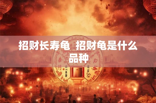 招财长寿龟 招财龟是什么品种 招财长寿龟 招财龟是什么品种
