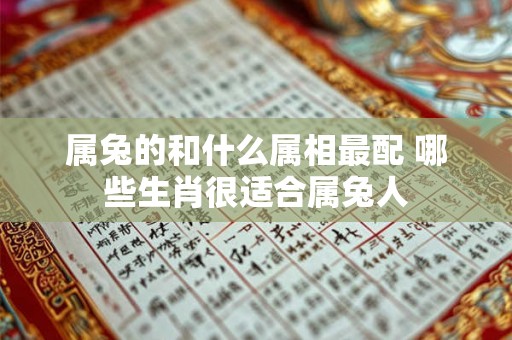 属兔的和什么属相最配 哪些生肖很适合属兔人