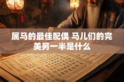 属马的最佳配偶 马儿们的完美另一半是什么 属马的最佳配偶 马儿们的完美另一半是什么