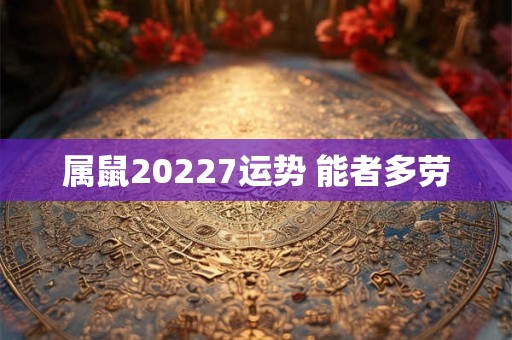 属鼠20227运势 能者多劳