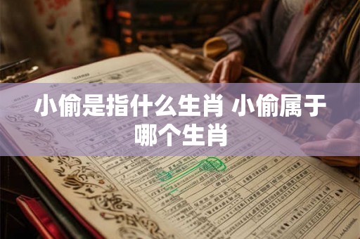 小偷是指什么生肖 小偷属于哪个生肖