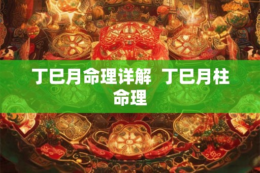 丁巳月命理详解  丁巳月柱命理