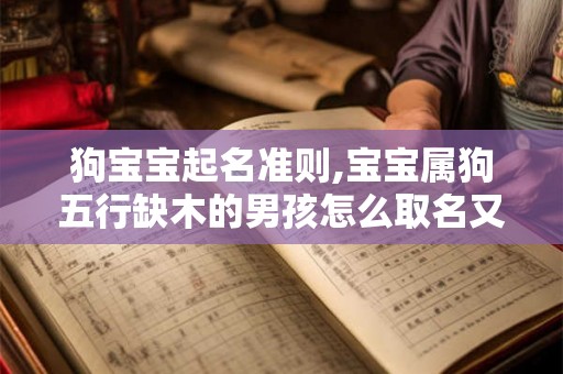 狗宝宝起名准则,宝宝属狗五行缺木的男孩怎么取名又内涵