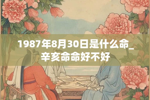 1987年8月30日是什么命_辛亥命命好不好