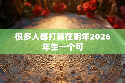 很多人都打算在明年2026年生一个可