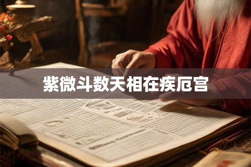紫微斗数天相在疾厄宫