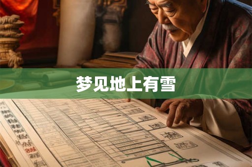 梦见地上有雪