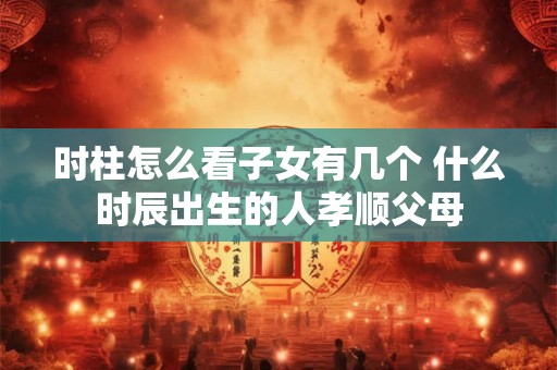 时柱怎么看子女有几个 什么时辰出生的人孝顺父母
