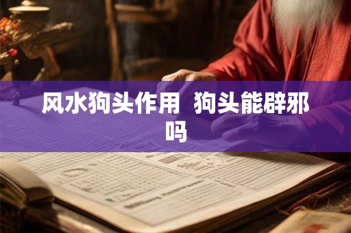 风水狗头作用 狗头能辟邪吗 风水狗头作用 狗头能辟邪吗