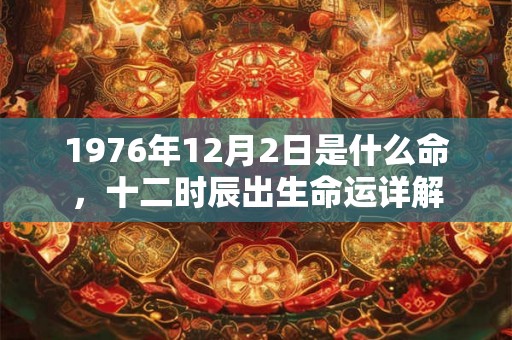 1976年12月2日是什么命，十二时辰出生命运详解