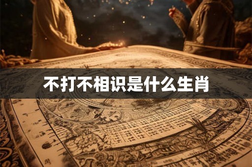 不打不相识是什么生肖