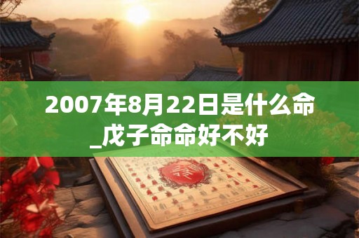 2007年8月22日是什么命_戊子命命好不好