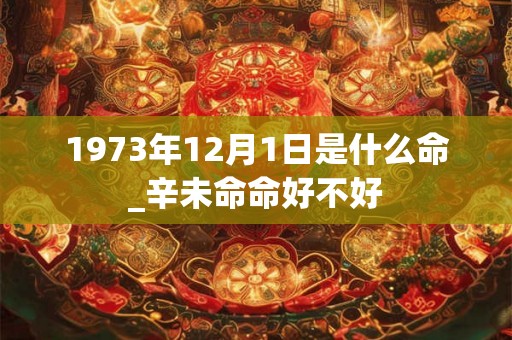 1973年12月1日是什么命_辛未命命好不好