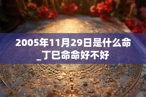 2005年11月29日是什么命_丁巳命命好不好