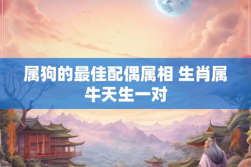 属狗的最佳配偶属相 生肖属牛天生一对