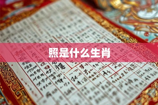 照是什么生肖