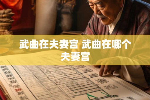 武曲在夫妻宫 武曲在哪个夫妻宫 武曲在夫妻宫 武曲在哪个夫妻宫