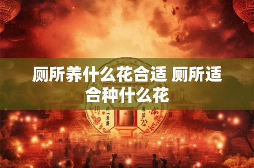 厕所养什么花合适 厕所适合种什么花
