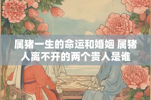 属猪一生的命运和婚姻 属猪人离不开的两个贵人是谁
