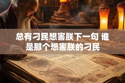 总有刁民想害朕下一句 谁是那个想害朕的刁民