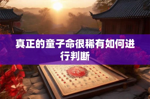 真正的童子命很稀有如何进行判断
