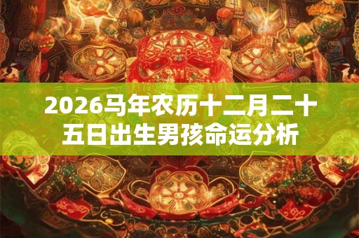 2026马年农历十二月二十五日出生男孩命运分析 2026马年农历十二月二十五日出生男孩命运分析