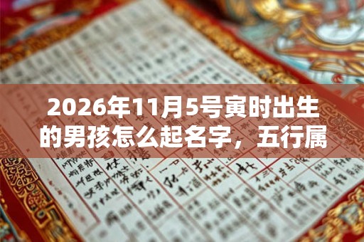 2026年11月5号寅时出生的男孩怎么起名字，五行属什么