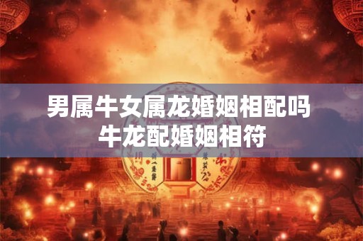 男属牛女属龙婚姻相配吗 牛龙配婚姻相符