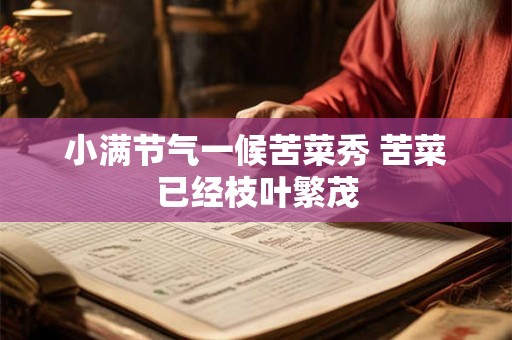 小满节气一候苦菜秀 苦菜已经枝叶繁茂 小满节气一候苦菜秀 苦菜已经枝叶繁茂