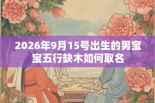2026年9月15号出生的男宝宝五行缺木如何取名
