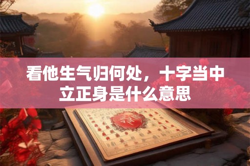 看他生气归何处，十字当中立正身是什么意思