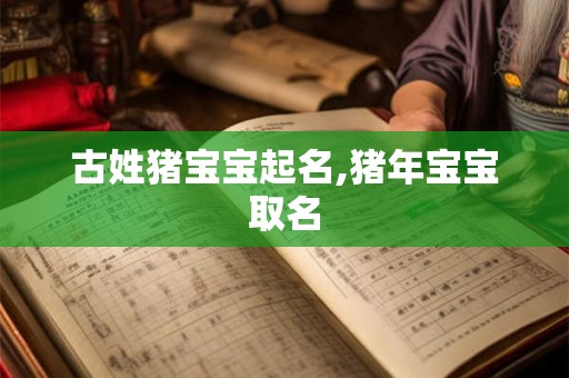 古姓猪宝宝起名,猪年宝宝取名 古姓猪宝宝起名,猪年宝宝取名