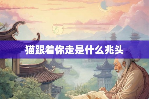 猫跟着你走是什么兆头