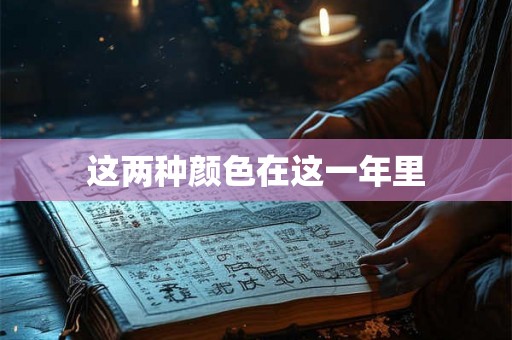 这两种颜色在这一年里 这两种颜色在这一年里