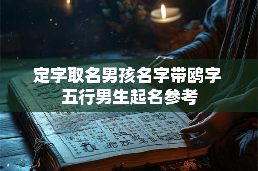 定字取名男孩名字带鸥字 五行男生起名参考