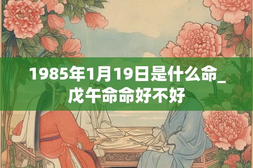 1985年1月19日是什么命_戊午命命好不好