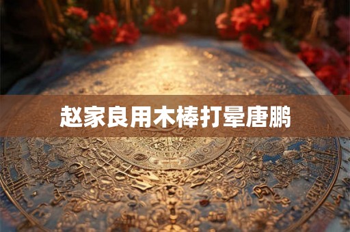 赵家良用木棒打晕唐鹏