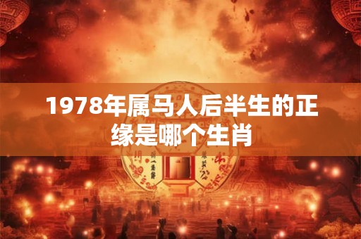 1978年属马人后半生的正缘是哪个生肖