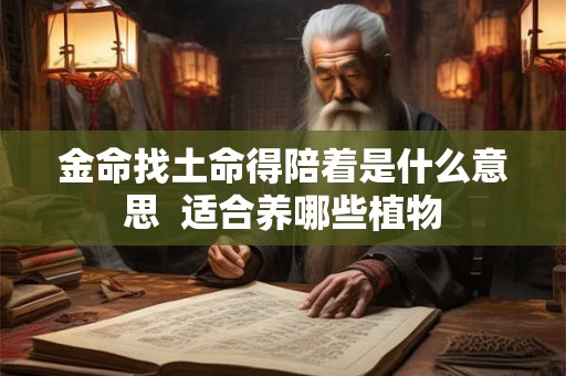 金命找土命得陪着是什么意思  适合养哪些植物