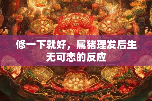 修一下就好，属猪理发后生无可恋的反应
