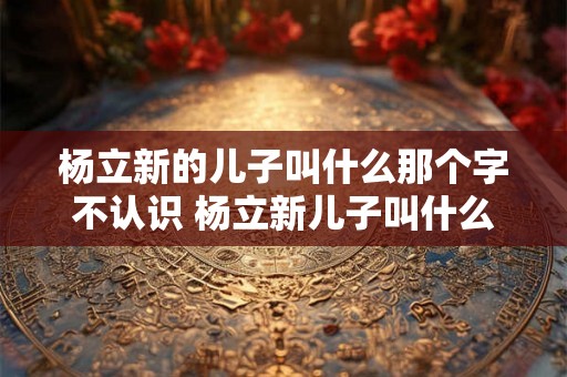 杨立新的儿子叫什么那个字不认识 杨立新儿子叫什么字