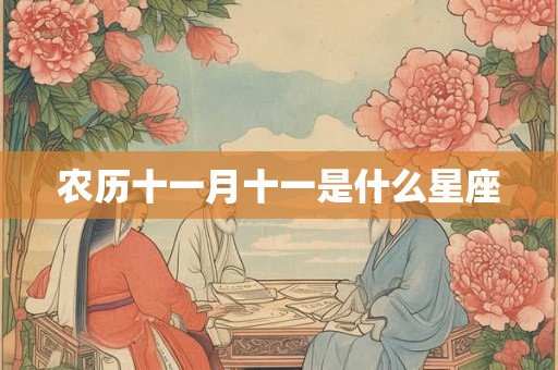 农历十一月十一是什么星座 农历十一月十一是什么星座