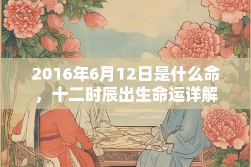2016年6月12日是什么命，十二时辰出生命运详解
