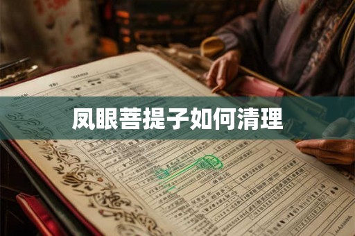 凤眼菩提子如何清理