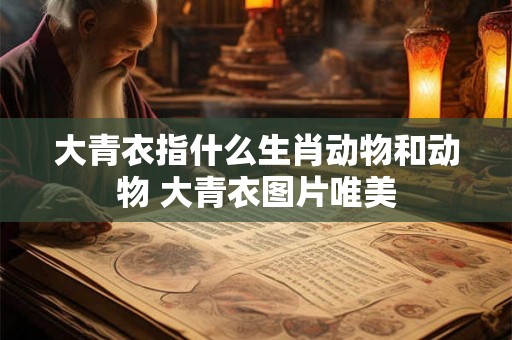 大青衣指什么生肖动物和动物 大青衣图片唯美