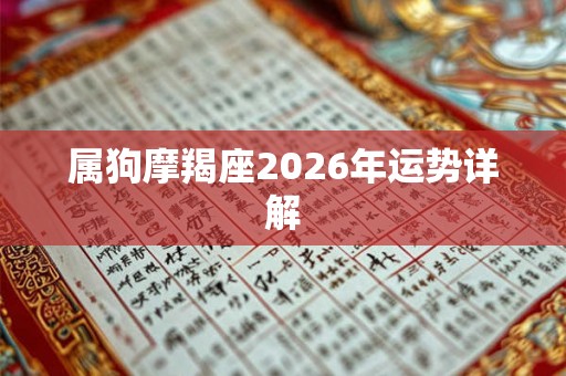 属狗摩羯座2026年运势详解 属狗摩羯座2026年运势详解