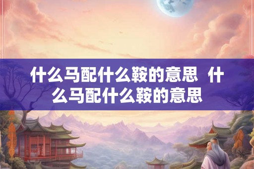 什么马配什么鞍的意思  什么马配什么鞍的意思
