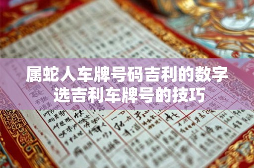 属蛇人车牌号码吉利的数字 选吉利车牌号的技巧 属蛇人车牌号码吉利的数字 选吉利车牌号的技巧
