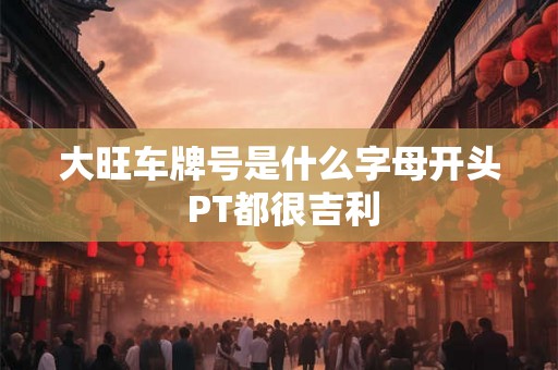大旺车牌号是什么字母开头 PT都很吉利
