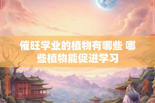 催旺学业的植物有哪些 哪些植物能促进学习
